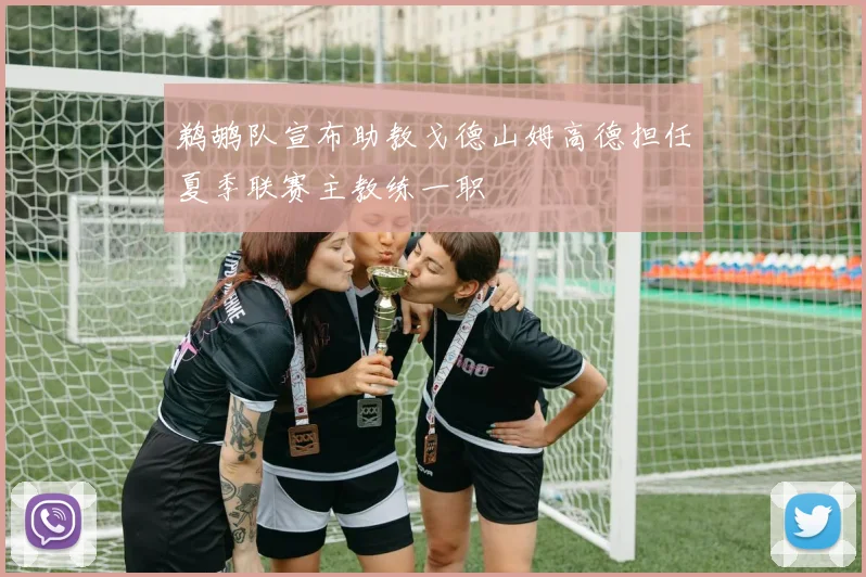 鹈鹕队宣布助教戈德山姆高德担任夏季联赛主教练一职