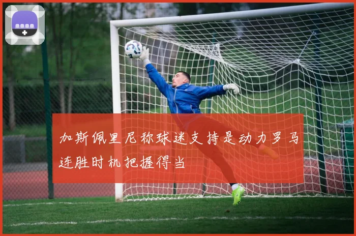 加斯佩里尼称球迷支持是动力罗马连胜时机把握得当